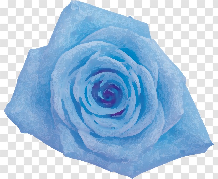 Blue Rose Garden Roses Cabbage Cut Flowers - Seed Plant Transparent PNG