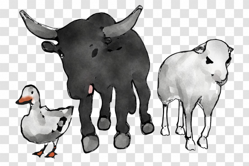 Sheep Zebu Goat Ox Dairy Cattle Transparent PNG