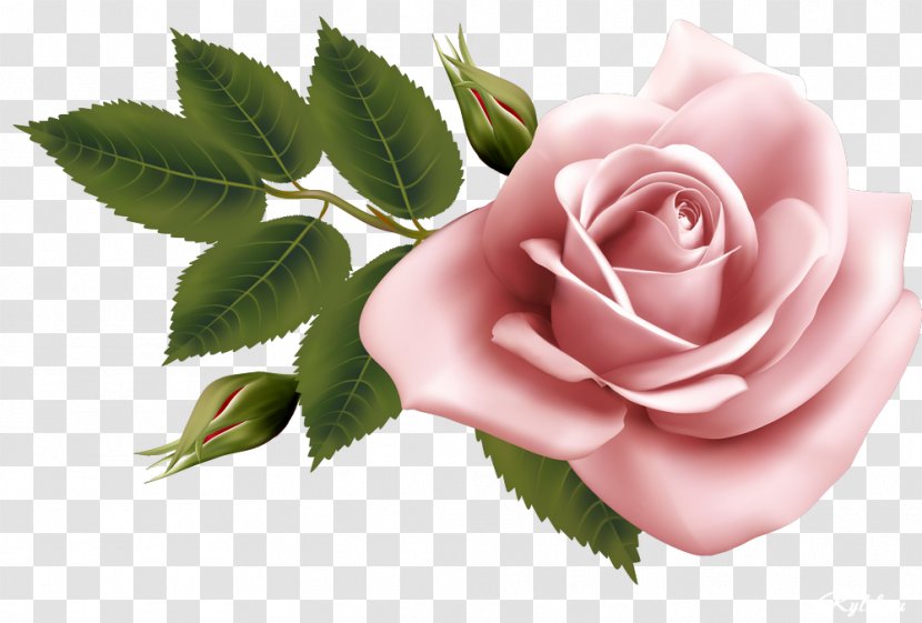 Flower Watercolor Painting Clip Art - Rose - Beautiful Roses Invitation Transparent PNG
