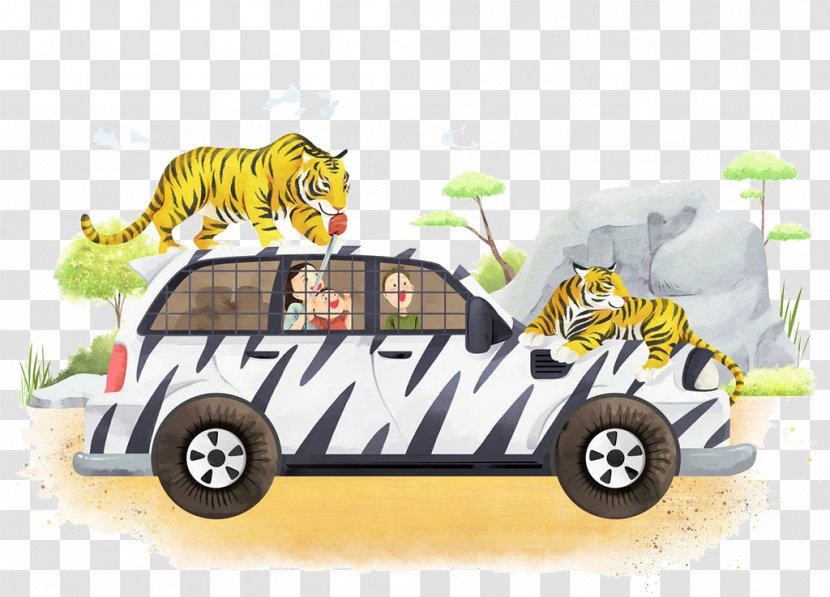 Tiger Cartoon Illustration - Gratis - Tigers And Cars Transparent PNG