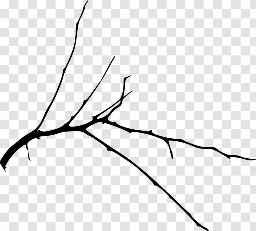 Branch Silhouette Clip Art Image - Monochrome - Tree Transparent PNG