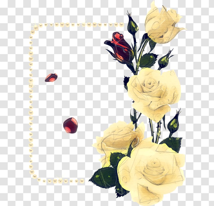 Drawing Of Family - Plant - Petal Garden Roses Transparent PNG