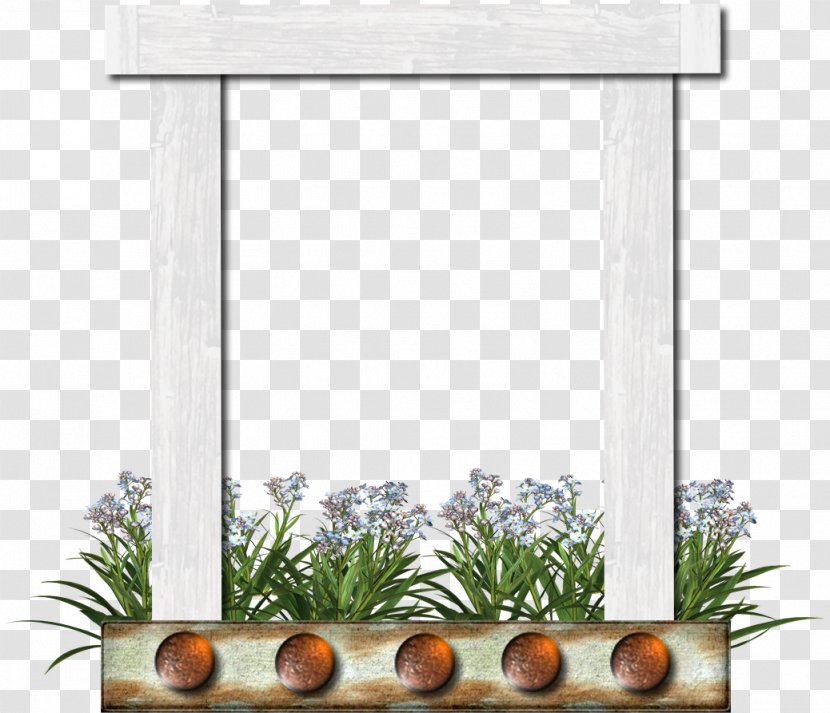 Photography Picture Frames - Tree - Frame Transparent PNG