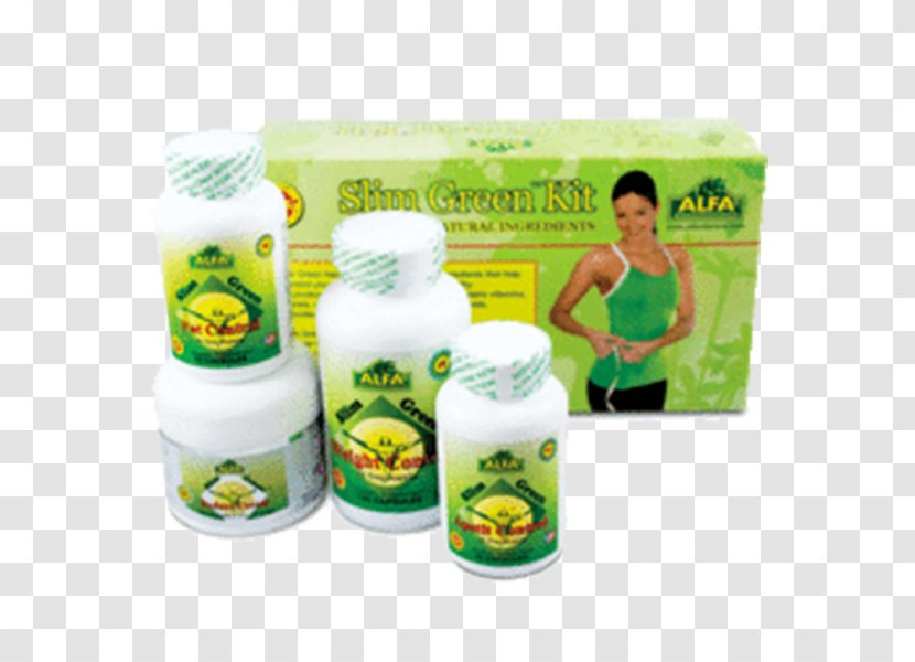 Vitamin Weight Loss Garcinia Cambogia Fat Management - Alfa Vitamins Costa Rica - Slimming Transparent PNG