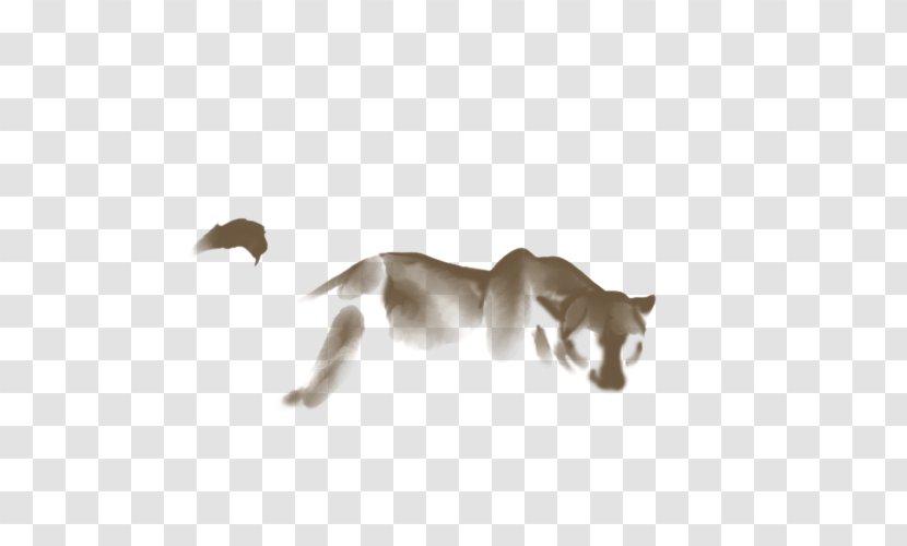 Cat Lion Dog Canidae Wildlife - Small To Medium Sized Cats Transparent PNG
