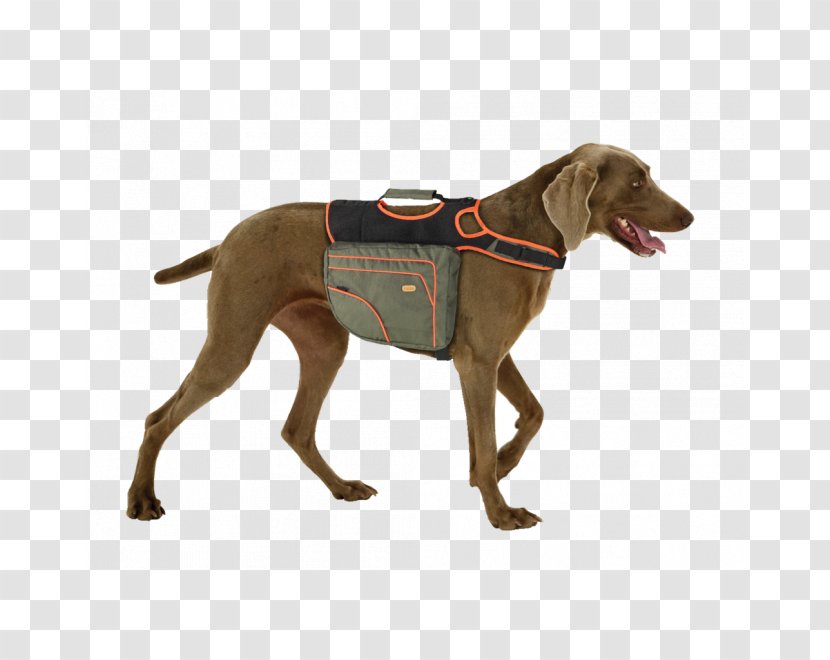 Weimaraner Backpack Dog Breed Labrador Retriever Beagle - Tree Transparent PNG