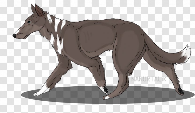 Dog Horse Macropodidae Pack Animal Character - Carnivoran Transparent PNG