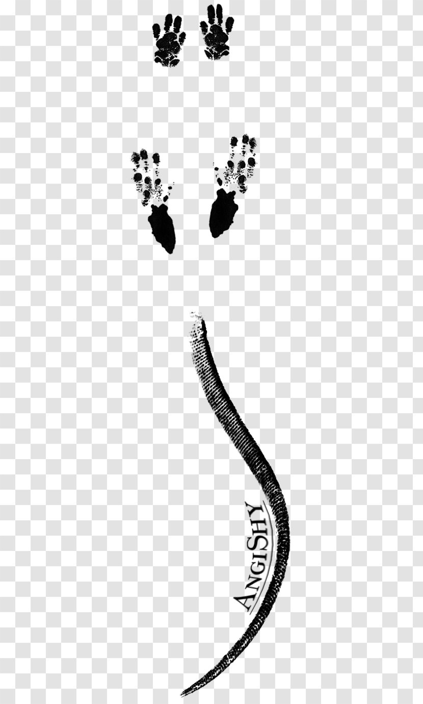 Rat Paw Mouse Animal Track Raccoon - Black - Ink And Wash Transparent PNG