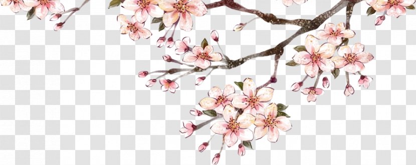 Plum Blossom Download - Spring - Pattern Material Transparent PNG