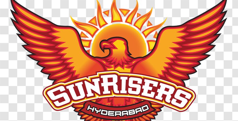 2018 Indian Premier League Sunrisers Hyderabad Rajasthan Royals 2013 Kolkata Knight Riders - Brand - Cricket Transparent PNG