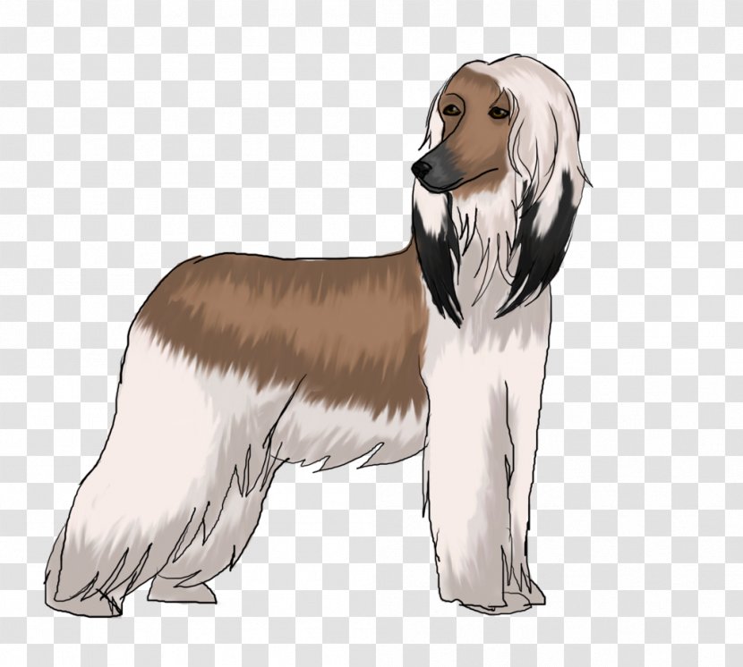 Dog Breed Saluki Afghan Hound Companion Spaniel Transparent PNG