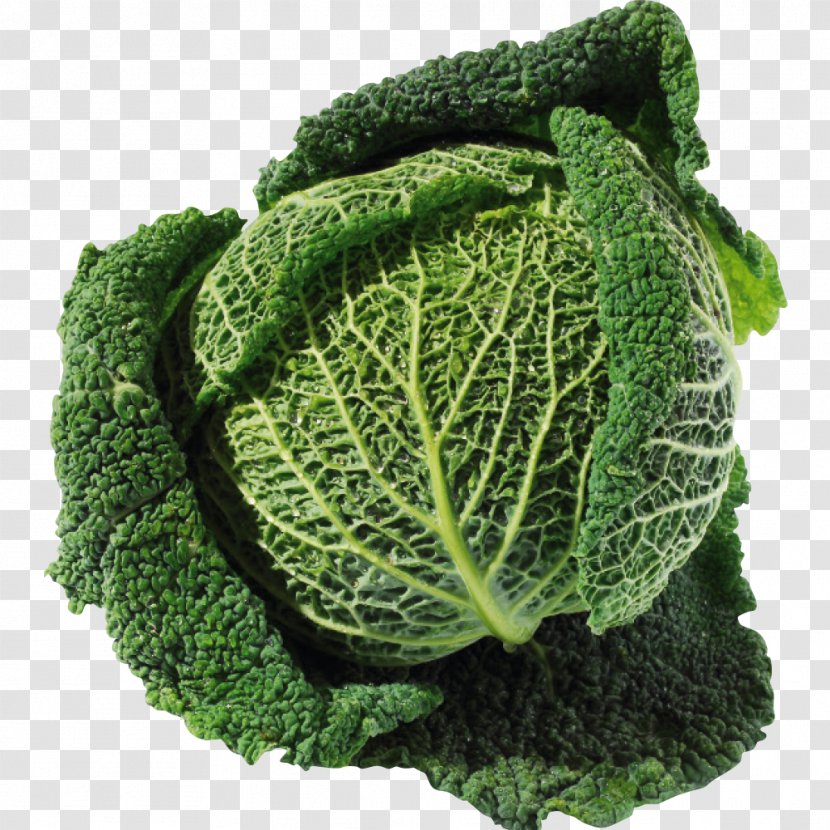 Savoy Cabbage Collard Greens Spring Kale Leaf Vegetable Transparent PNG