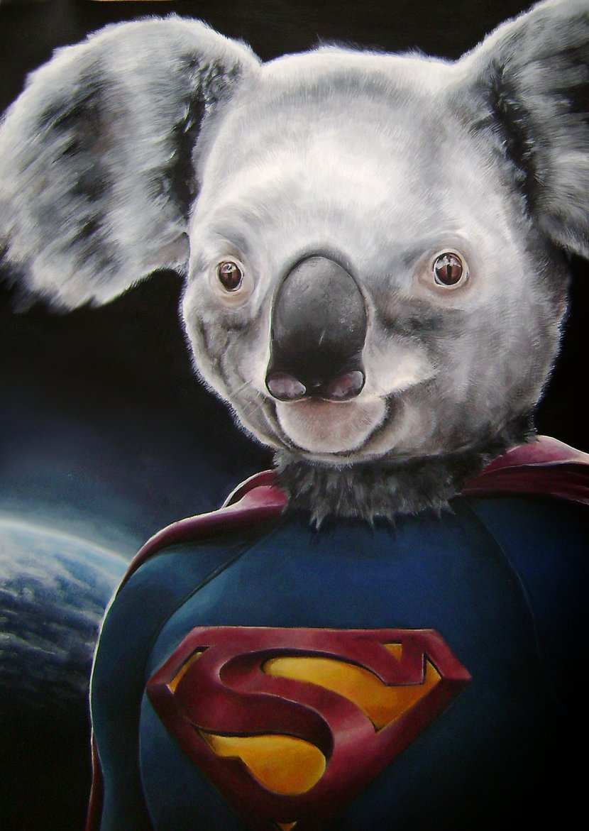 Koala Marsupial DeviantArt Painting - Artist Transparent PNG