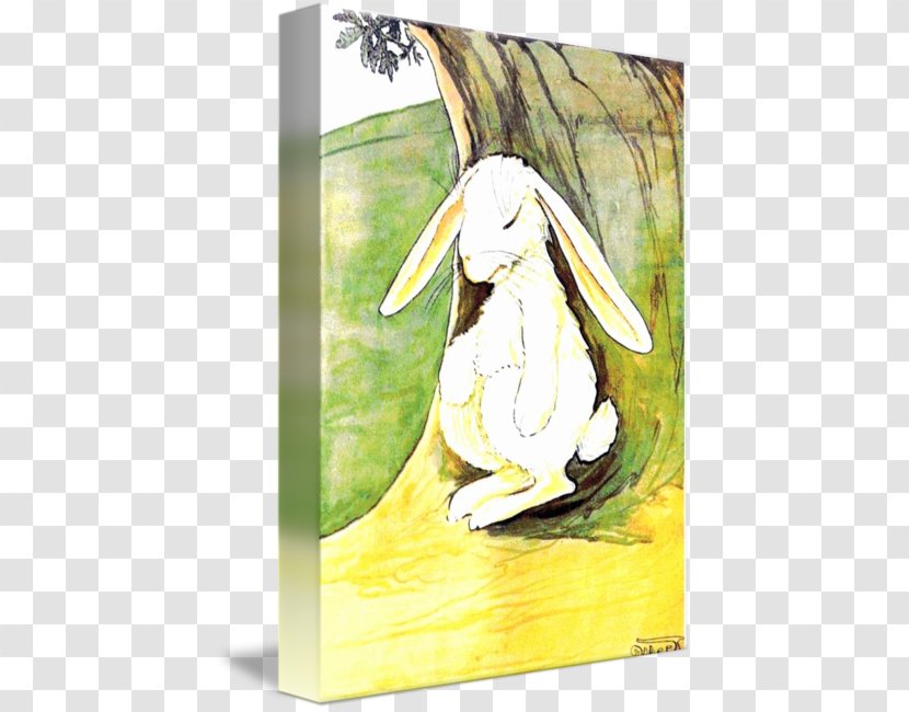 Flightless Bird Painting Beak Picture Frames - Rabbit Illustration Transparent PNG