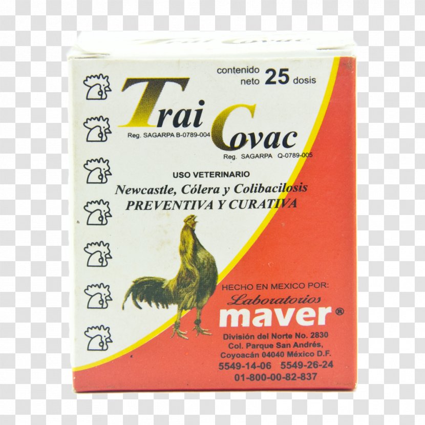 Newcastle Disease Vaccine Medicine Preventive Healthcare - Upon Tyne - Trai Transparent PNG