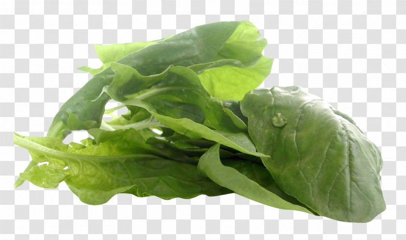 Juice Spinach Romaine Lettuce Vegetarian Cuisine Food - Health Transparent PNG