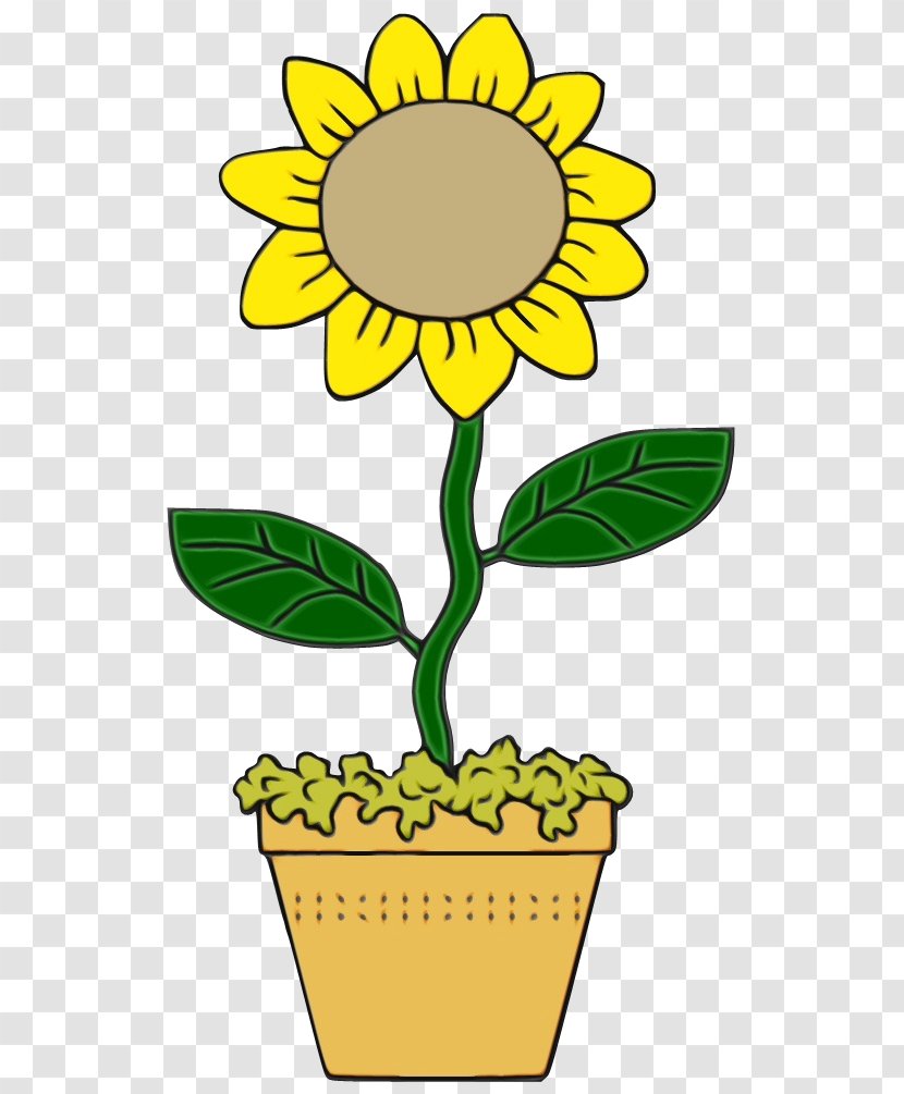Sunflower - Watercolor - Flowering Plant Transparent PNG