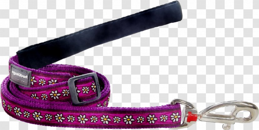 Leash Dog Collar Pink M - Fashion Accessory Transparent PNG