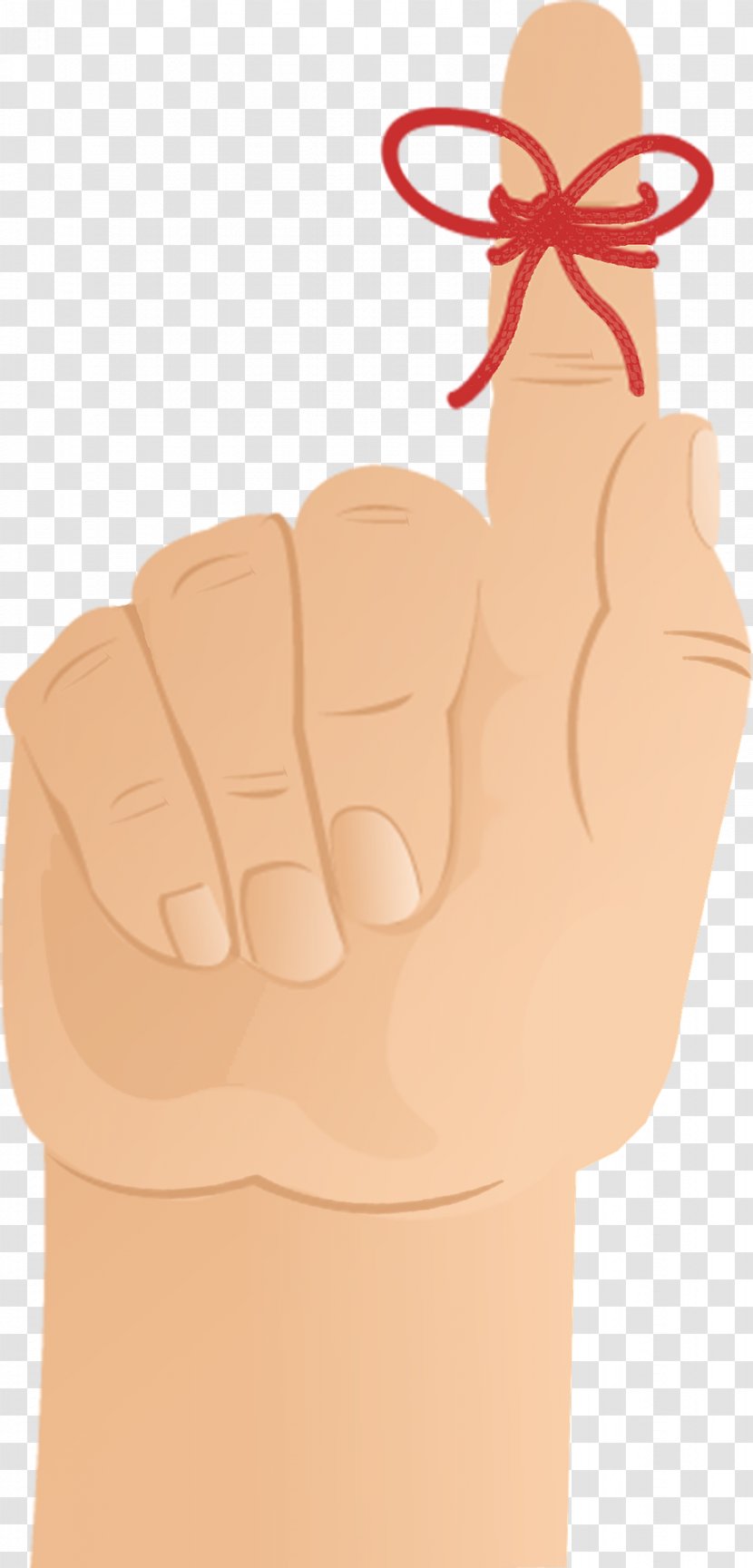 Index Finger Thumb - Photography - Fingers Transparent PNG