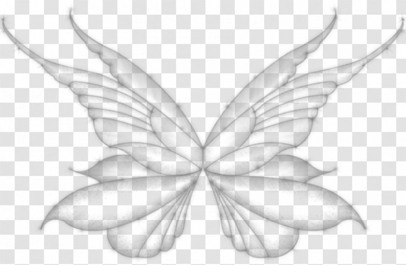Line Art Petal White Leaf Sketch - Symmetry Transparent PNG