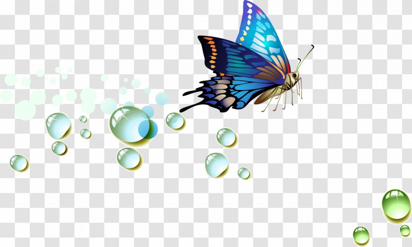 Butterfly Fundal - Drawing - Cartoon Dream Drops Transparent PNG