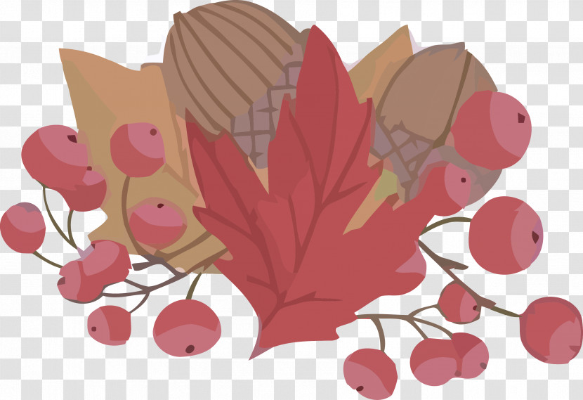 Autumn Acorns Leaves Transparent PNG