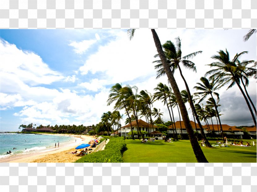 Poipu Banyan Harbor Resort Hotel Beach - Shore Transparent PNG
