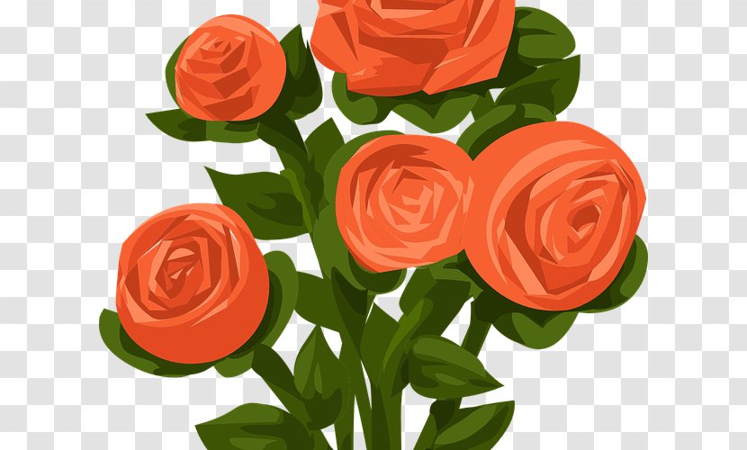 Clip Art Rose Shrub Vector Graphics - Drawing - Hanschristian Thulin Transparent PNG