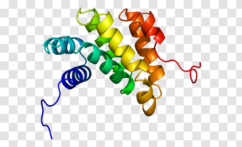 PDCD4 Protein Gene Tafazzin Oncomir - Silhouette - Flower Transparent PNG