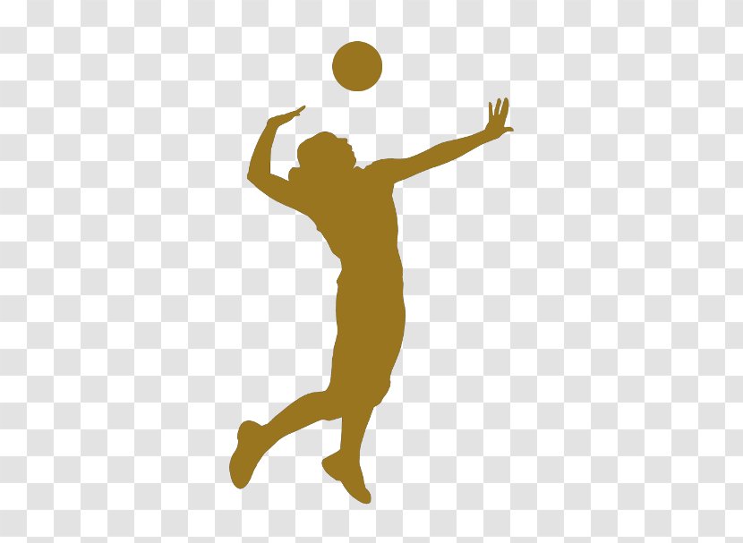 Volleyball Sport Silhouette - Jumping - Volei Transparent PNG