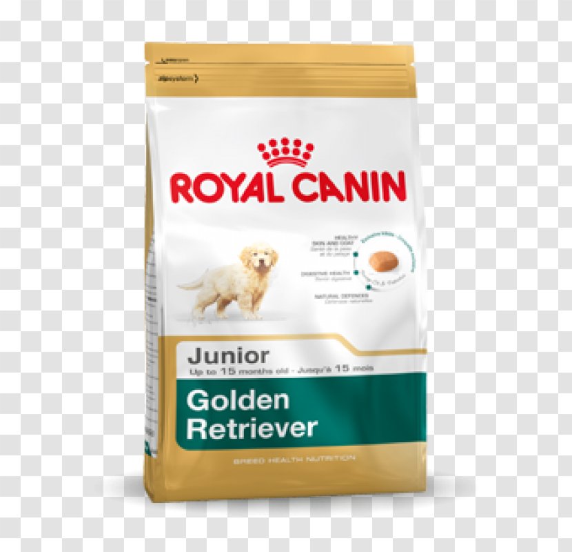Golden Retriever Labrador Puppy Pug Cat Food Transparent PNG
