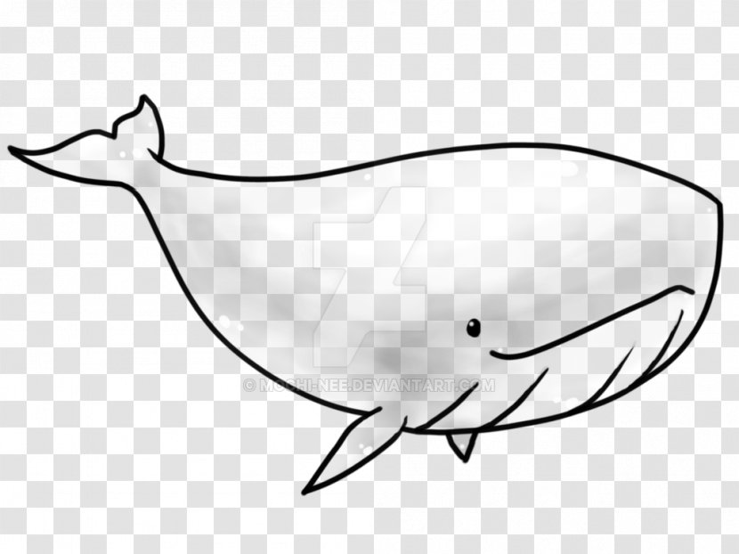 Porpoise Killer Whale Narwhal - Water Bird Transparent PNG