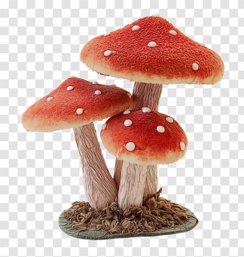 Mushroom Transparent PNG
