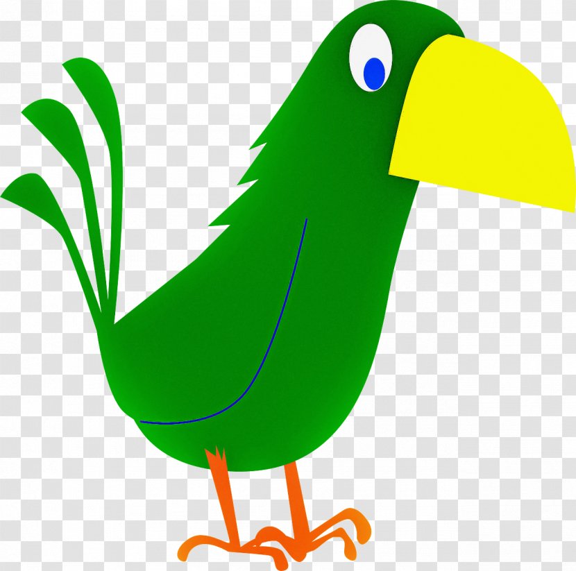 Bird Beak Green Toucan Piciformes - Line Art Animal Figure Transparent PNG