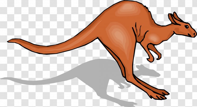 Kangaroo Jumping Clip Art - Internet Forum Transparent PNG