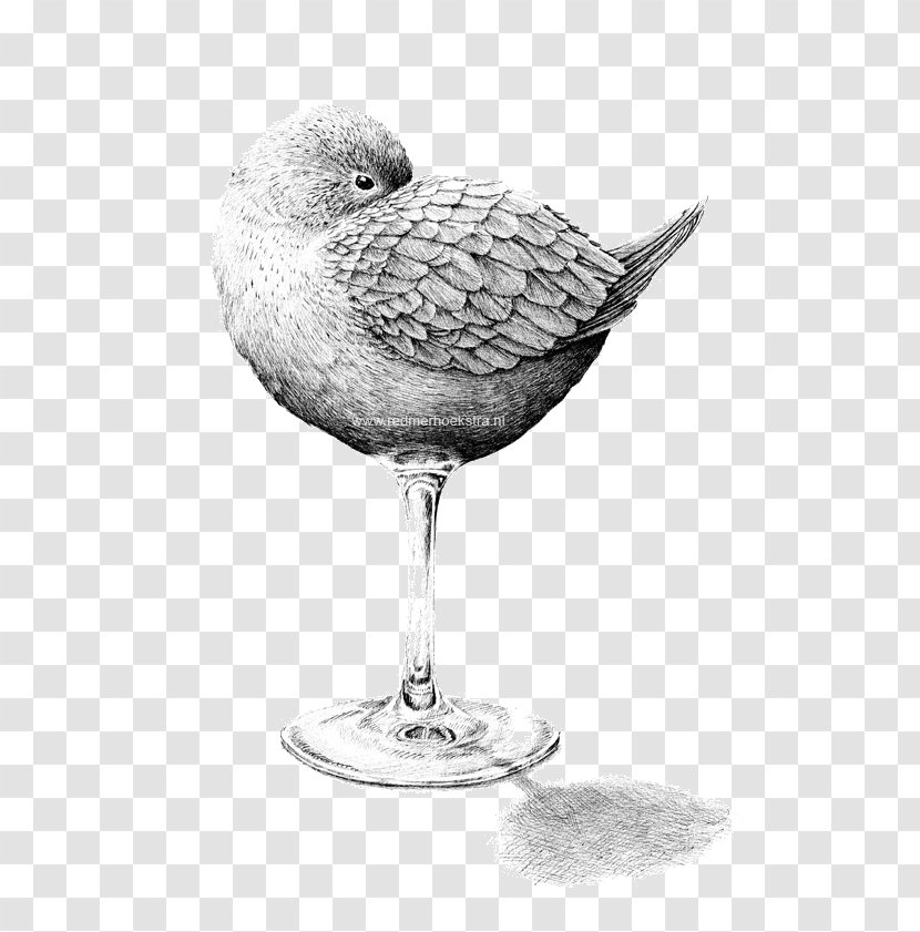 Contour Drawing Art Surrealism Illustration - Still Life Photography - Bird Cup Sketch Transparent PNG