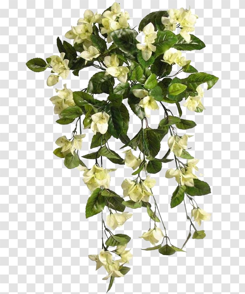 Cut Flowers Plant Stem Flowering - Flower Transparent PNG