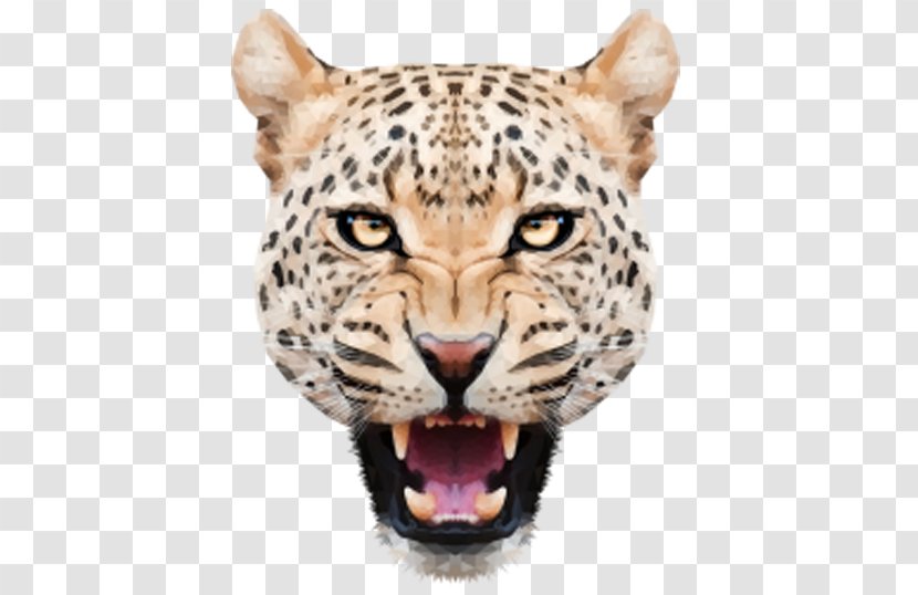 Leopard Jaguar Felidae Tiger - Display Resolution - Angry Head Transparent PNG