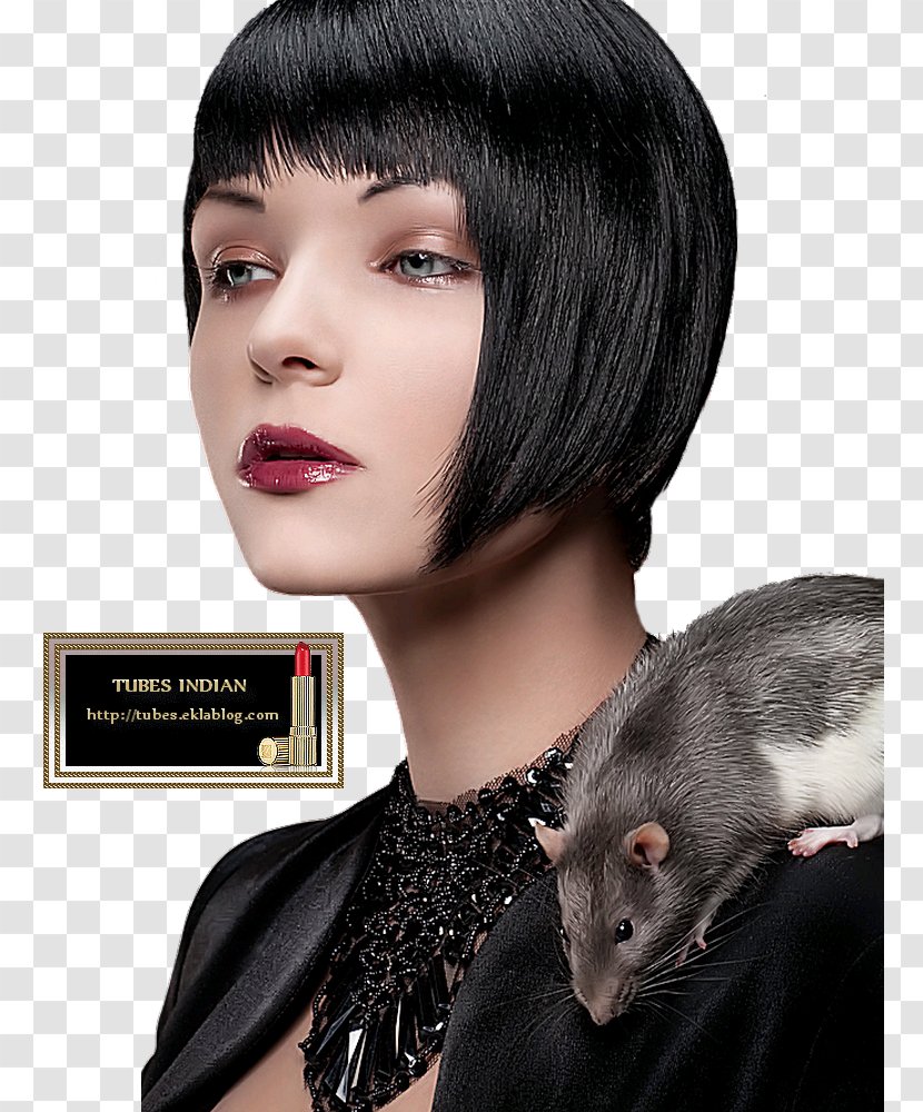 Hair Coloring Black Animal - Wig Transparent PNG