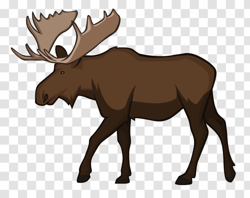 Moose Reindeer Wildlife Animal - MOOSE Transparent PNG