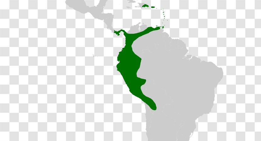 Latin America South Spanish Colonization Of The Americas Hispanic Region - History - Map Transparent PNG