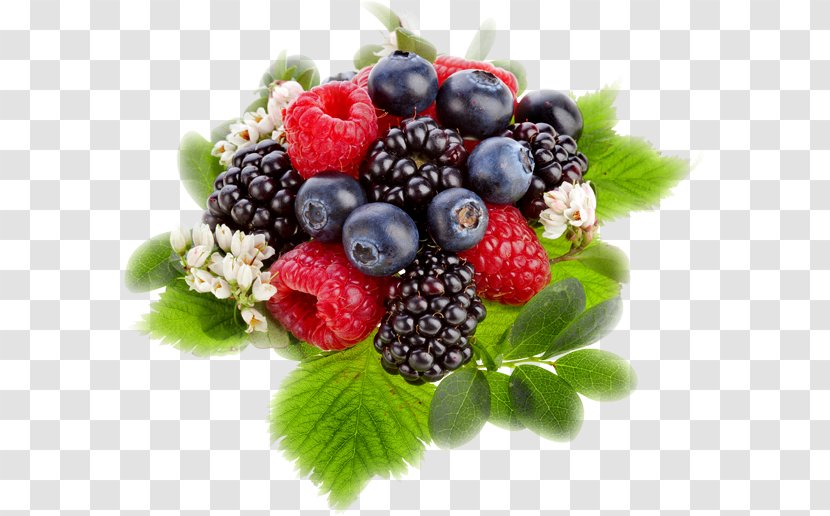 Blackberry Fruit Raspberry - Bilberry - Boysenberry Transparent PNG