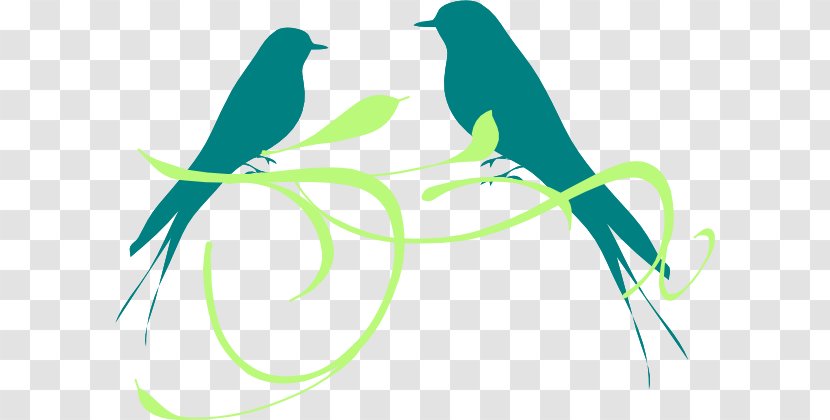 Parrot Clip Art Budgerigar Bird Drawing - Branch - Lovebird. Transparent PNG