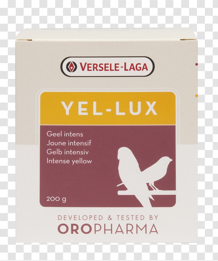 Yellow Color Gram Dye Probi İnşaat Proje Bilgi İşlem Merkezi A.Ş. - Lux Transparent PNG
