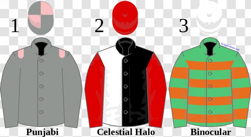 2009 Champion Hurdle Cheltenham Racecourse T-shirt Horse Racing - Brand Transparent PNG