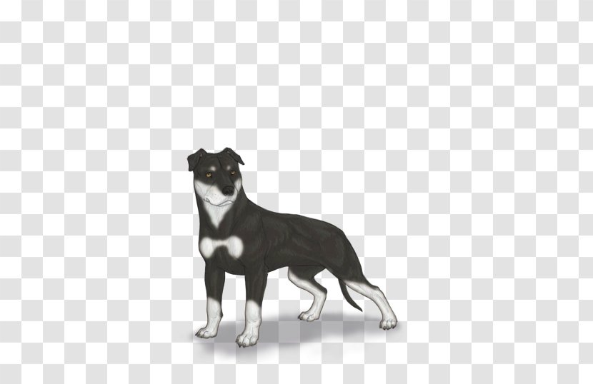 Dog Breed Snout - Group - Pit Bull Transparent PNG