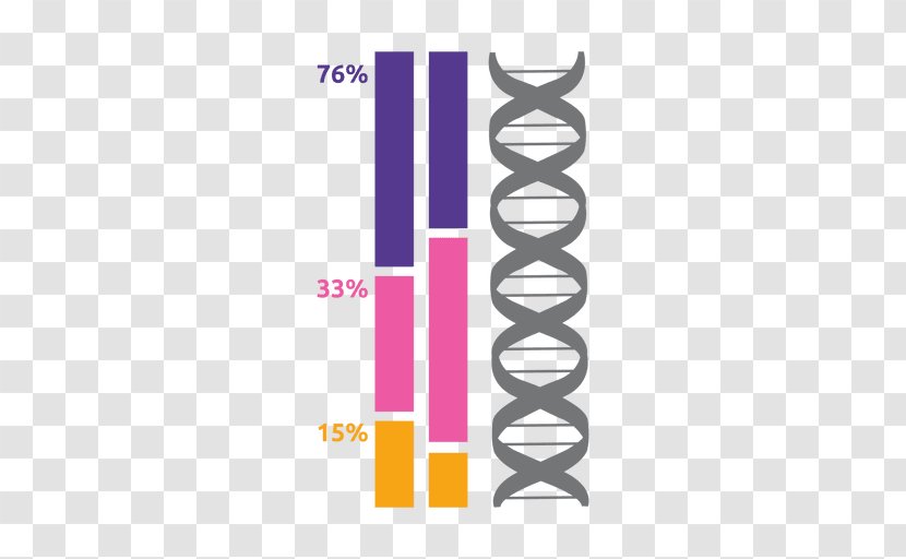 Nucleic Acid Double Helix DNA - Violet - Dna Transparent PNG