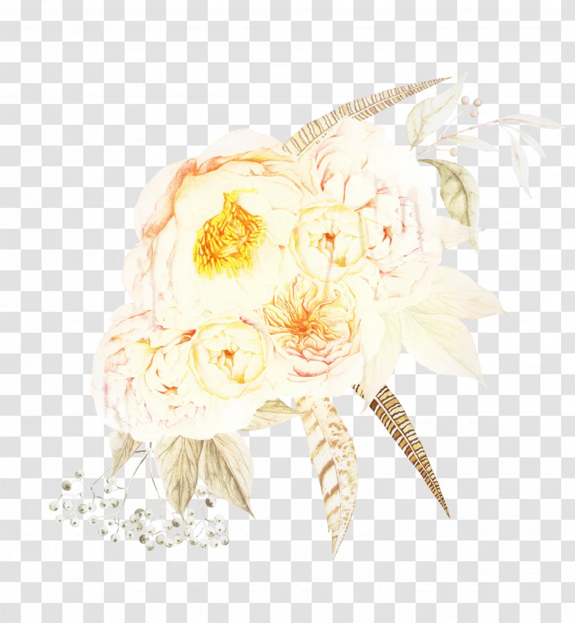 Rose Cut Flowers Flower Bouquet Floral Design - White - Feather Transparent PNG