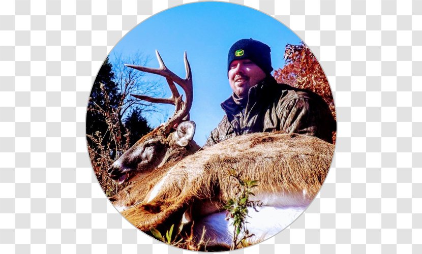 Deer Hunting White-tailed Antler - Shooting - Josh Allen Transparent PNG