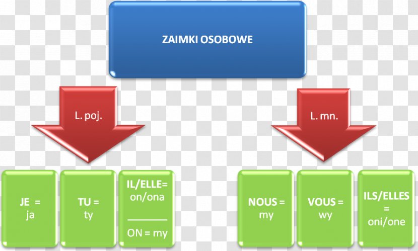 Personal Pronoun French Language T–V Distinction Subject - Polish - Mam Transparent PNG